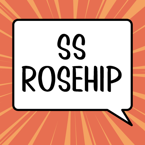 SJ SS Rosehip • Font Việt hóa
